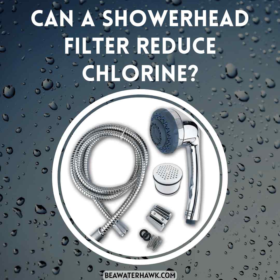 Can A Showerhead Filter Reduce Chlorine?