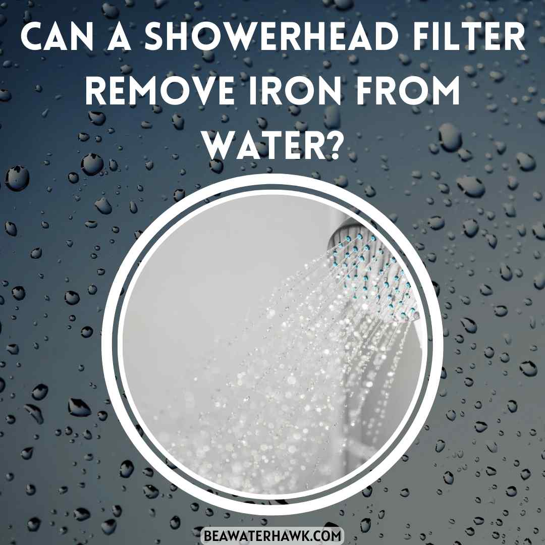 Can A Showerhead Filter Remove Iron From Water?