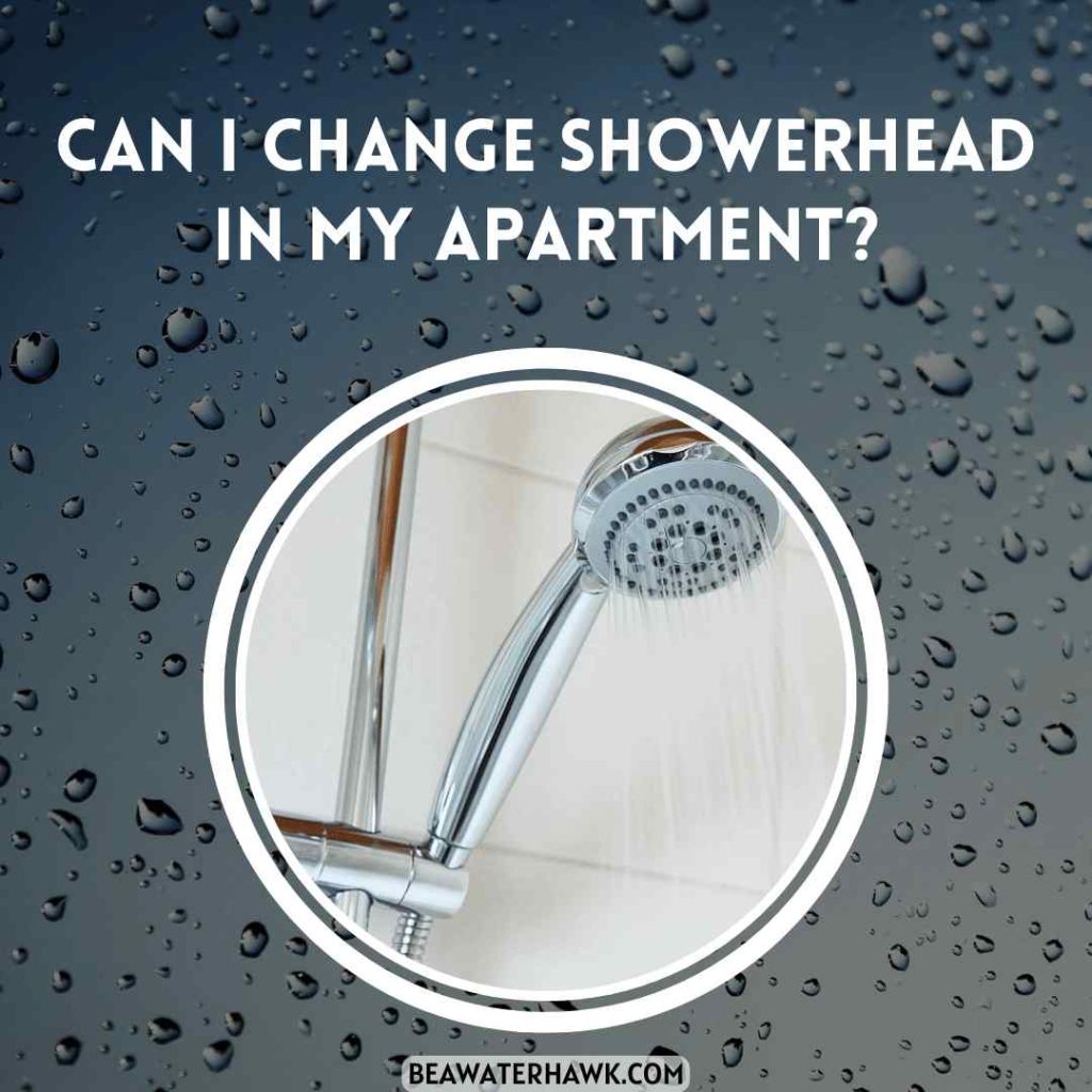 Can I Change Showerhead In My Apartment?