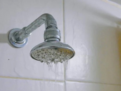 Do Shower Filters Improve Eczema And Psoriasis