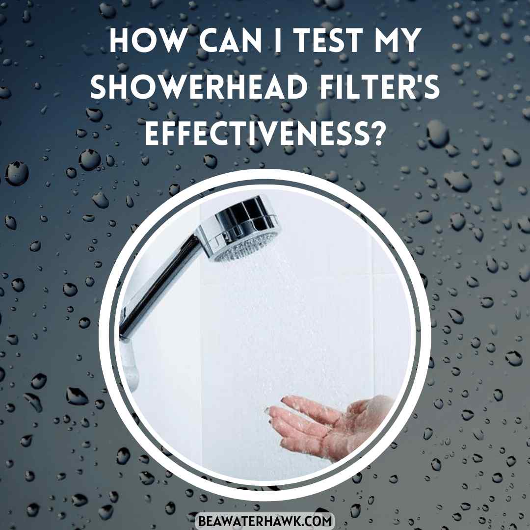 How Can I Test My Showerhead Filter's Effectiveness?