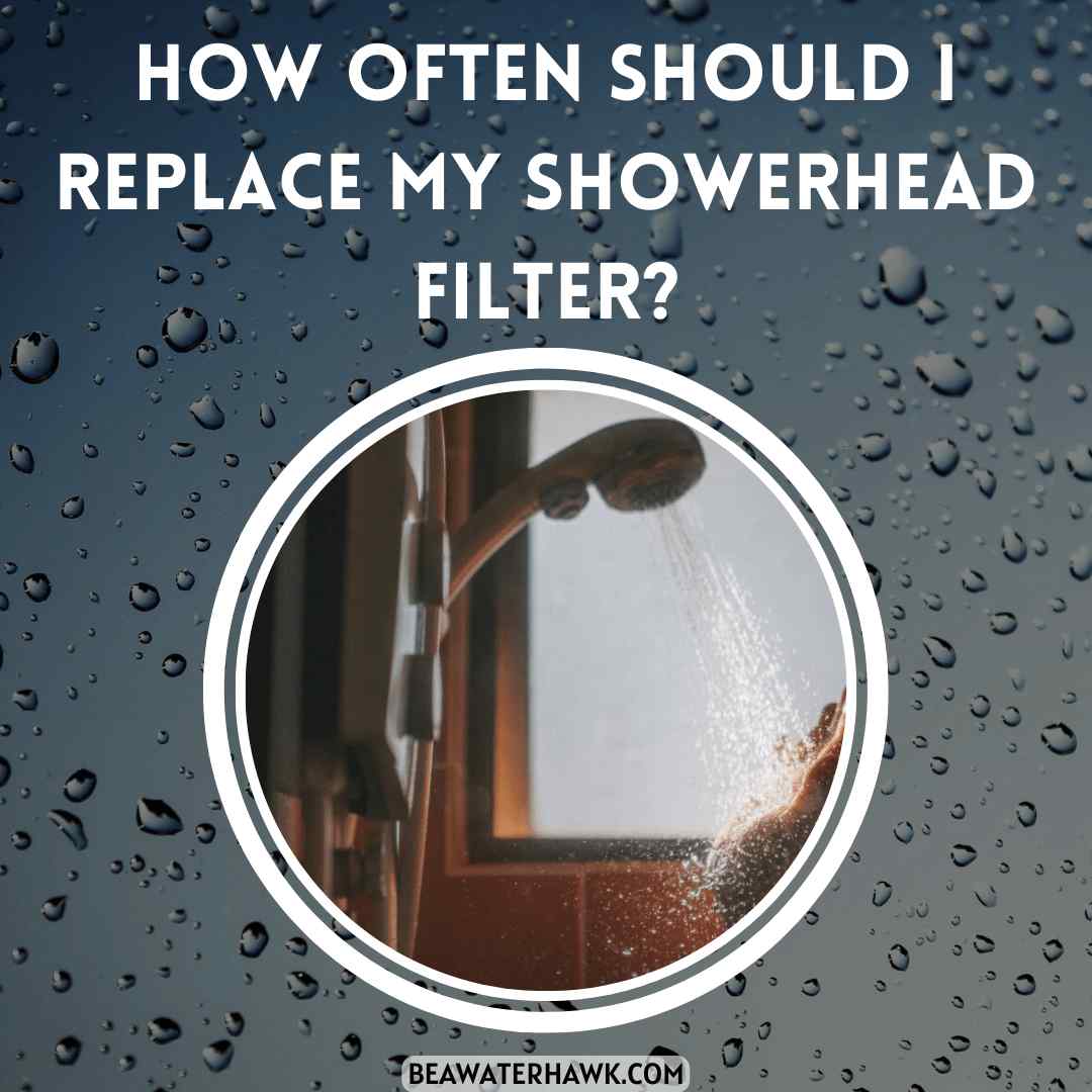 How Often Should I Replace My Showerhead Filter?