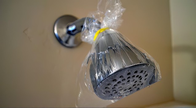 How to Clean Showerhead without removing it?
