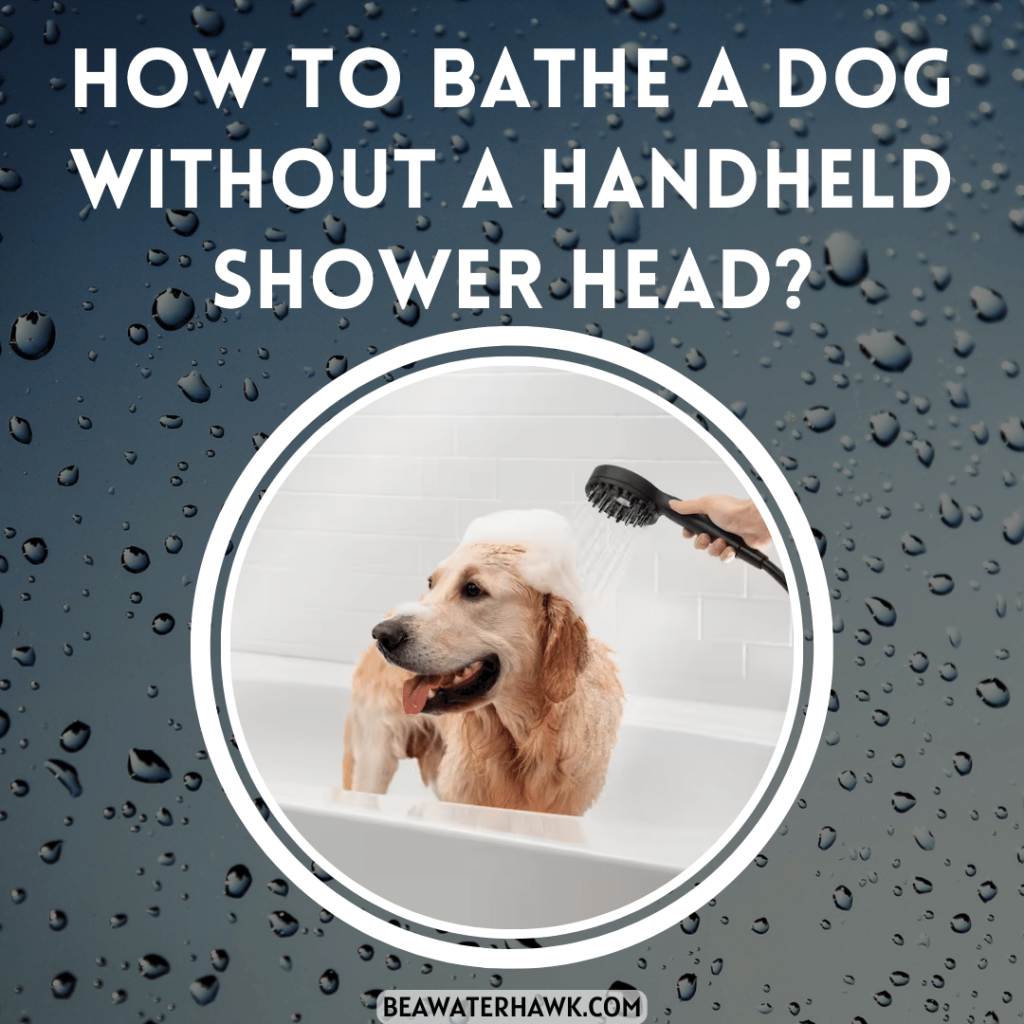 How To Bathe A Dog Without A Handheld Shower Head?