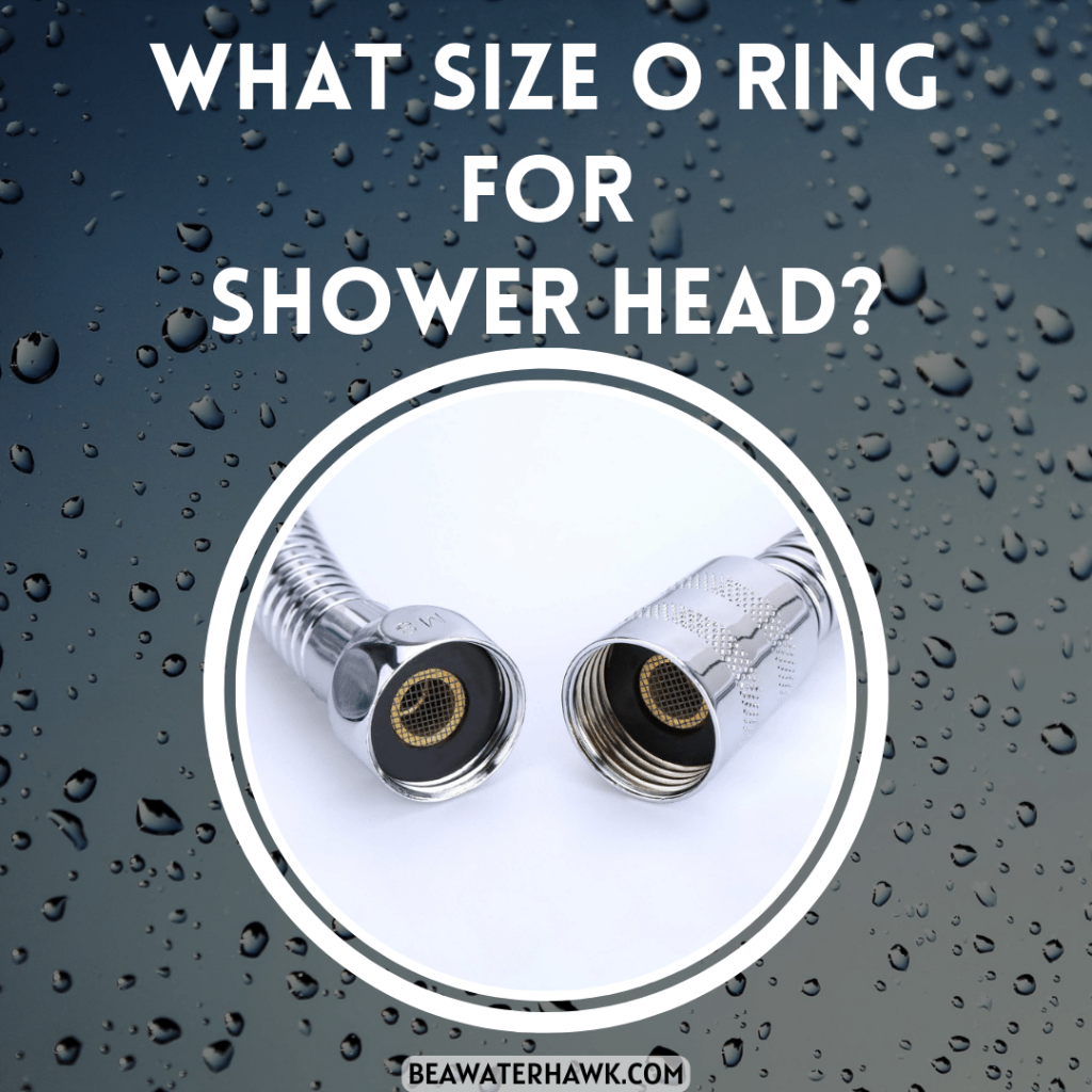 What Size O Ring For Shower Head?